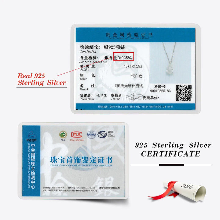 RINNTIN APN10 USA Local Stock Classic Design Pear Cut Cubic Zirconia Pendant Necklace 925 Silver Jewelry for Women Fine Jewelry